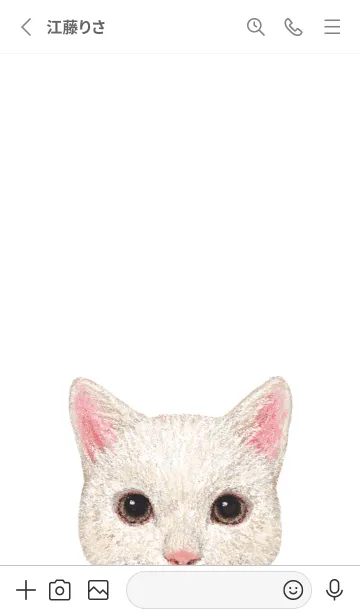 [LINE着せ替え] ICON CAT - ミックス - GRAY/10の画像3