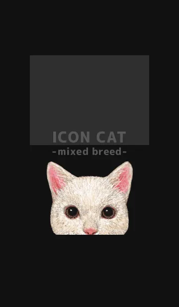 [LINE着せ替え] ICON CAT - ミックス - BLACK/10の画像1