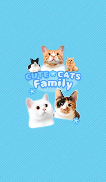 [LINE着せ替え] CUTE CATS Family BLUEの画像1
