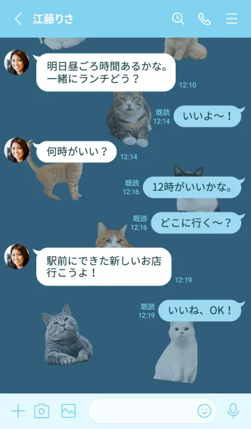 [LINE着せ替え] CUTE CATS Family BLUEの画像4
