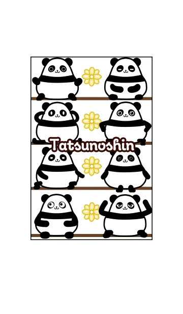 [LINE着せ替え] たつのしん★まんまるカワイイ♥パンダの画像1