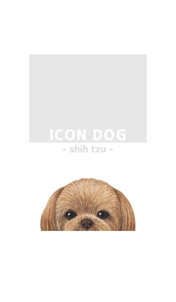 [LINE着せ替え] ICON DOG - シーズー - GRAY/04の画像1