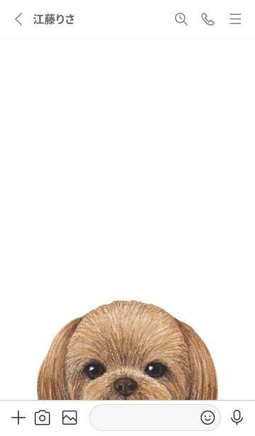 [LINE着せ替え] ICON DOG - シーズー - GRAY/04の画像3