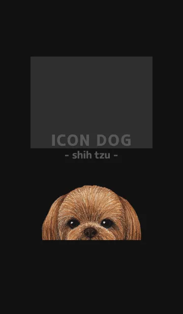 [LINE着せ替え] ICON DOG - シーズー - BLACK/04の画像1