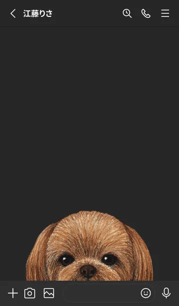 [LINE着せ替え] ICON DOG - シーズー - BLACK/04の画像3