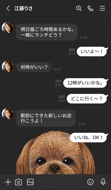 [LINE着せ替え] ICON DOG - シーズー - BLACK/04の画像4