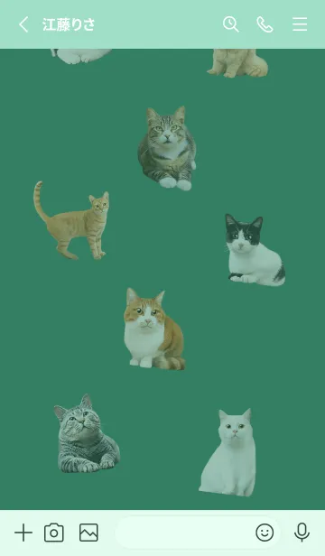 [LINE着せ替え] CUTE CATS Family GREENの画像3