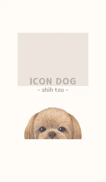 [LINE着せ替え] ICON DOG - シーズー - BEIGE/04の画像1