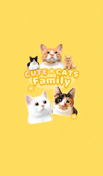 [LINE着せ替え] CUTE CATS Family YELLOWの画像1