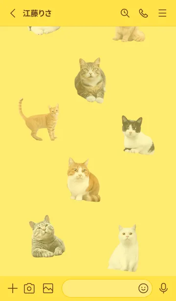 [LINE着せ替え] CUTE CATS Family YELLOWの画像3