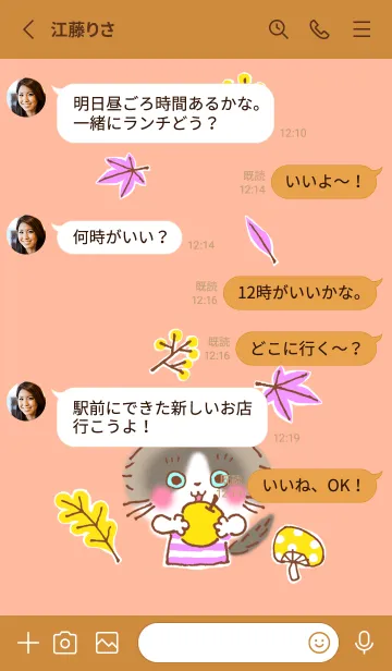 [LINE着せ替え] 秋のラグドールのラグの画像4