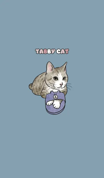 [LINE着せ替え] tabbycat6 / light denim .jpの画像1