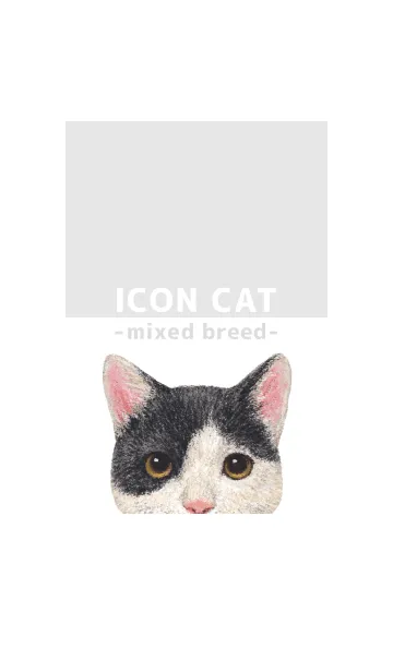 [LINE着せ替え] ICON CAT - ミックス - GRAY/11の画像1