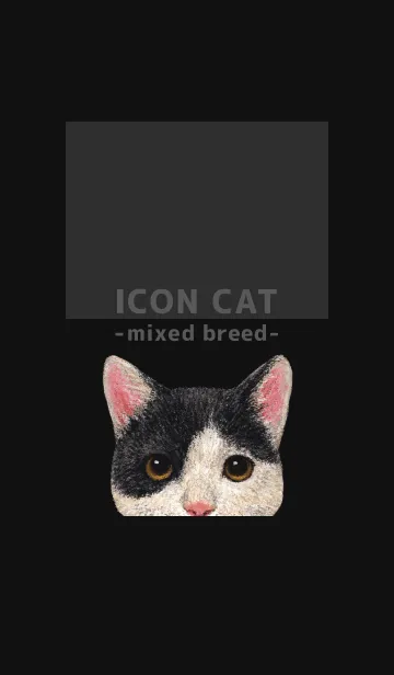 [LINE着せ替え] ICON CAT - ミックス - BLACK/11の画像1