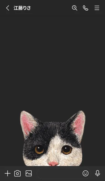 [LINE着せ替え] ICON CAT - ミックス - BLACK/11の画像3