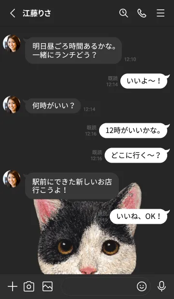 [LINE着せ替え] ICON CAT - ミックス - BLACK/11の画像4