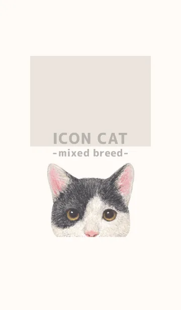 [LINE着せ替え] ICON CAT - ミックス - BEIGE/11の画像1