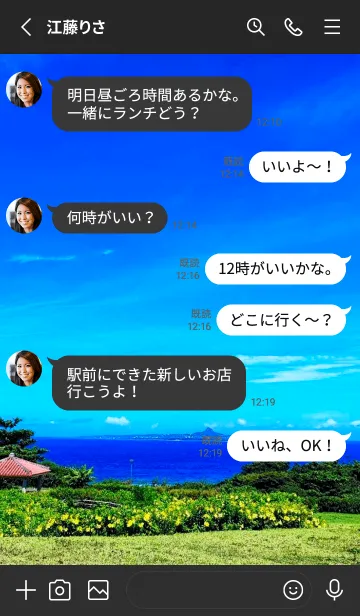 [LINE着せ替え] 懐かしの村の画像4