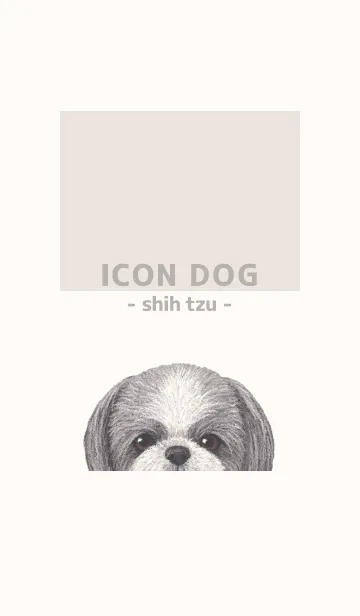 [LINE着せ替え] ICON DOG - シーズー - BEIGE/05の画像1