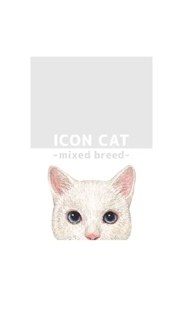 [LINE着せ替え] ICON CAT - ミックス - GRAY/12の画像1