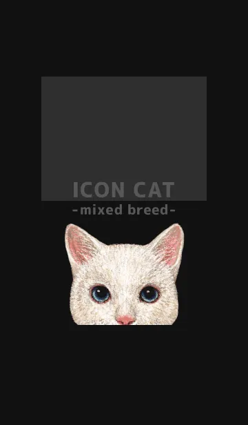 [LINE着せ替え] ICON CAT - ミックス - BLACK/12の画像1