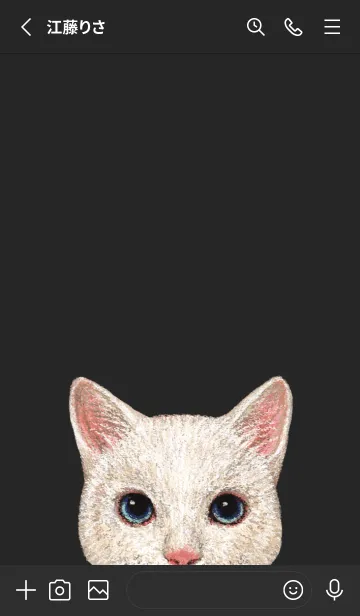 [LINE着せ替え] ICON CAT - ミックス - BLACK/12の画像3