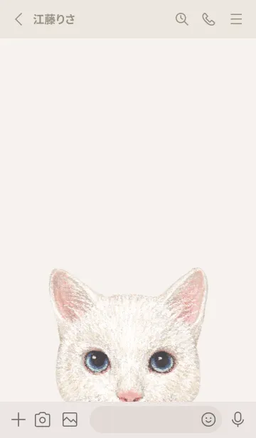 [LINE着せ替え] ICON CAT - ミックス - BEIGE/12の画像3