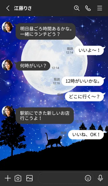 [LINE着せ替え] 幸運を呼び込む✨満月と流れ星の画像4