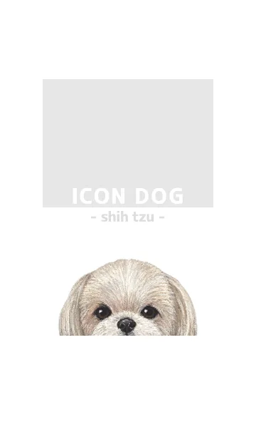 [LINE着せ替え] ICON DOG - シーズー - GRAY/06の画像1