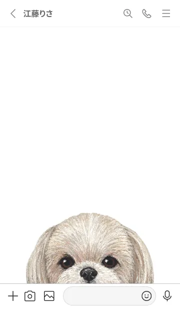 [LINE着せ替え] ICON DOG - シーズー - GRAY/06の画像3