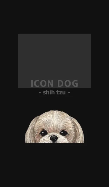 [LINE着せ替え] ICON DOG - シーズー - BLACK/06の画像1