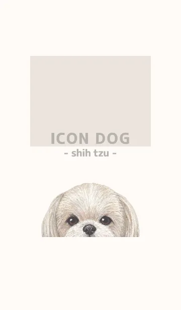 [LINE着せ替え] ICON DOG - シーズー - BEIGE/06の画像1