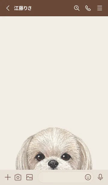 [LINE着せ替え] ICON DOG - シーズー - BROWN/06の画像3