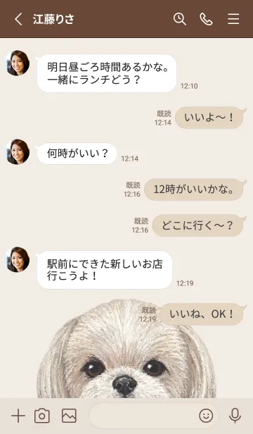 [LINE着せ替え] ICON DOG - シーズー - BROWN/06の画像4