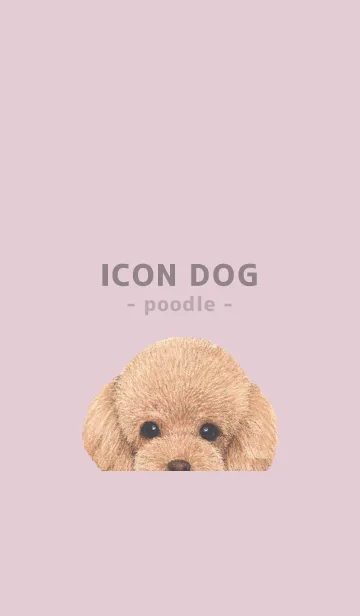 [LINE着せ替え] ICON DOG - トイプードル - PASTEL PK/05の画像1