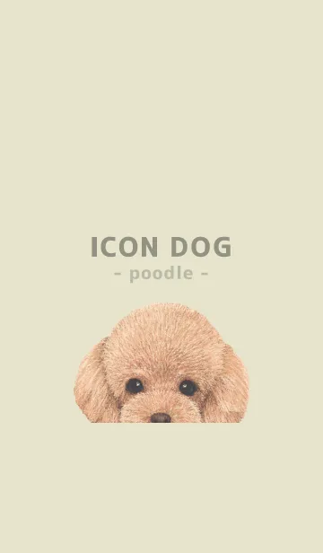 [LINE着せ替え] ICON DOG - トイプードル - PASTEL YE/05の画像1