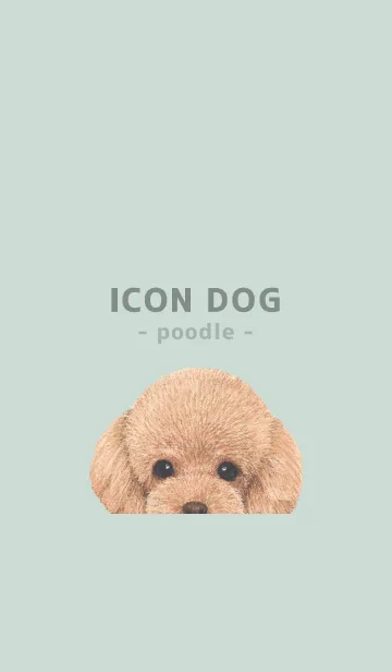 [LINE着せ替え] ICON DOG - トイプードル - PASTEL GR/05の画像1