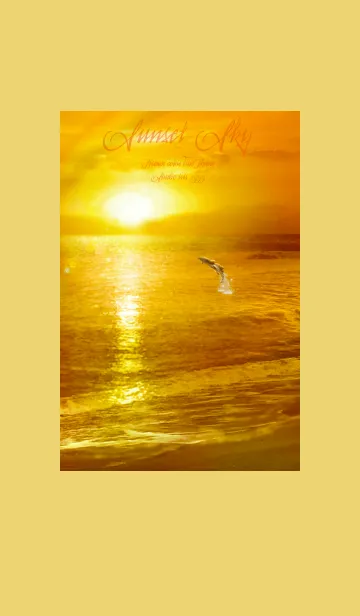 金運上昇 Sunset sky 癒しのビーチ イルカの着せ替えメイン画像