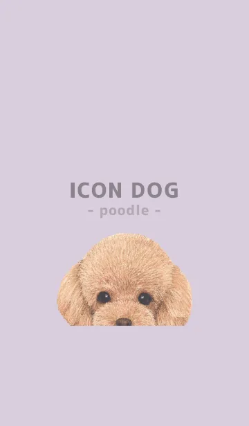 [LINE着せ替え] ICON DOG - トイプードル - PASTEL PL/05の画像1