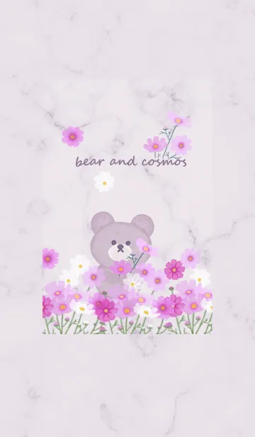 [LINE着せ替え] クマと秋桜とマーブル♥パープル10_1の画像1