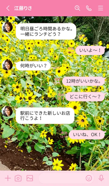 [LINE着せ替え] ひまわりと人事を尽くそうの画像4