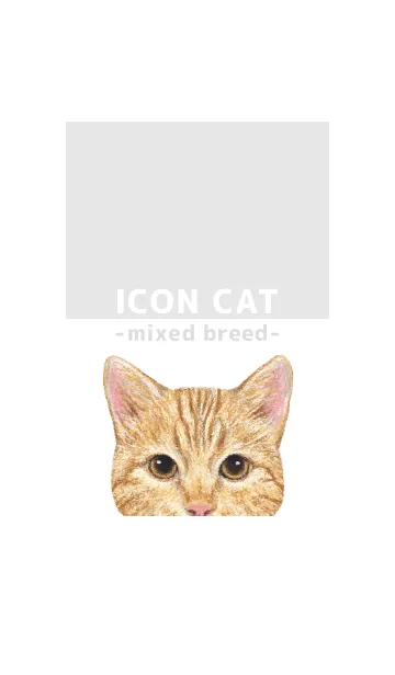 [LINE着せ替え] ICON CAT - ミックス - GRAY/13の画像1