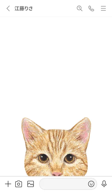 [LINE着せ替え] ICON CAT - ミックス - GRAY/13の画像3