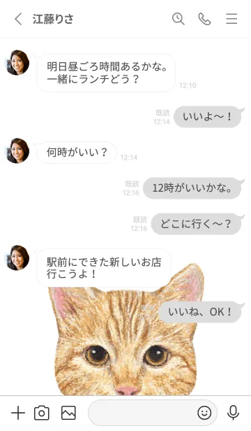 [LINE着せ替え] ICON CAT - ミックス - GRAY/13の画像4