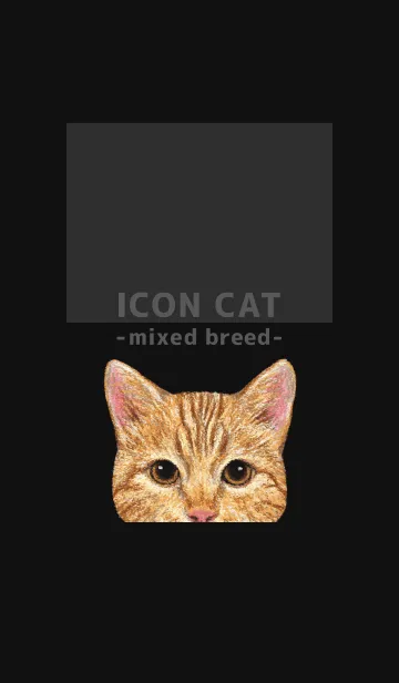 [LINE着せ替え] ICON CAT - ミックス - BLACK/13の画像1