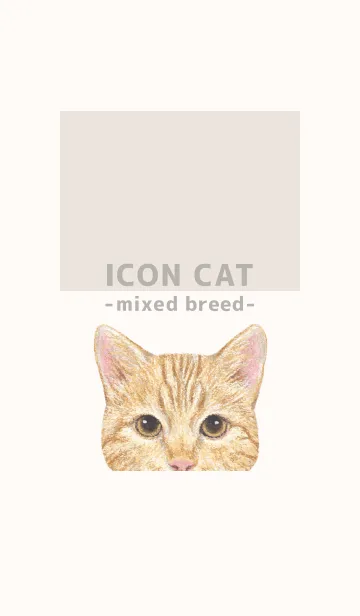 [LINE着せ替え] ICON CAT - ミックス - BEIGE/13の画像1