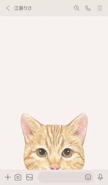 [LINE着せ替え] ICON CAT - ミックス - BEIGE/13の画像3