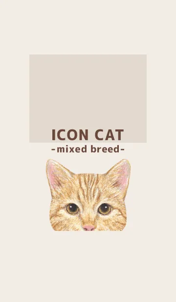 [LINE着せ替え] ICON CAT - ミックス - BROWN/13の画像1