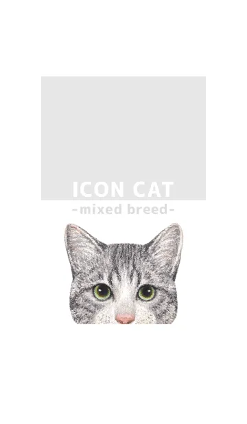 [LINE着せ替え] ICON CAT - ミックス - GRAY/14の画像1