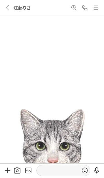 [LINE着せ替え] ICON CAT - ミックス - GRAY/14の画像3